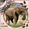 Colnect-4459-056-Loxodonta-africana.jpg