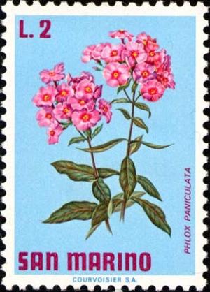 Colnect-1874-658-Phlox-Phlox-paniculata.jpg