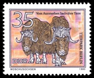 Colnect-1980-934-Muskox-Ovibos-moschatus.jpg