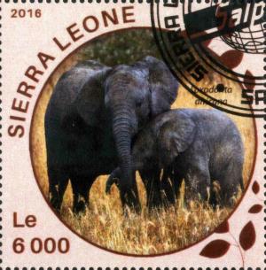 Colnect-4459-055-Loxodonta-africana.jpg