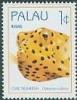 Colnect-2422-215-Yellow-Boxfish-Ostracion-cubicus.jpg