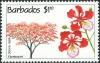 Colnect-5608-903-Flaboyant-Delonix-regia.jpg