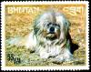 Colnect-2823-984-Lhasa-Apso-Canis-lupus-familiaris.jpg