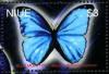 Colnect-4734-672-Blue-Morpho-Morpho-rhetenor-rhetenor.jpg