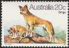 Colnect-477-697-Dingo-Canis-lupus-dingo.jpg