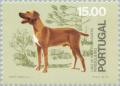 Colnect-175-126-Perdiguero-Canis-lupus-familiaris.jpg