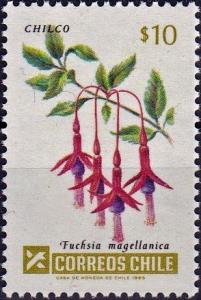 Colnect-4704-361-Chilco-Fuschia-magellanica.jpg