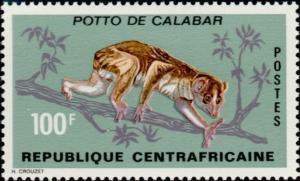 Colnect-1055-412-Golden-Potto-Arctocebus-calabarensis-.jpg