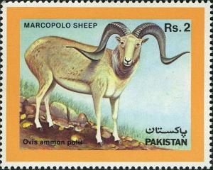 Colnect-2160-161-Marco-Polo-Sheep-Ovis-ammon-polii.jpg