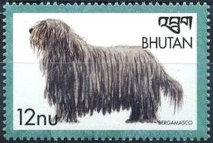 Colnect-3392-491-Bergamasco-Canis-lupus-familiaris.jpg