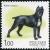 Colnect-2024-491-Cane-Corso-Canis-lupus-familiaris.jpg