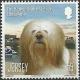 Colnect-1630-411-Lhasa-Apso-Canis-lupus-familiaris.jpg