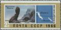 Soviet_Union_stamp_1966_CPA_3447.jpg