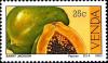 Colnect-1519-703-Papaya-Carica-papaya.jpg