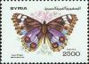 Colnect-1733-666-Blue-Pansy-Precis-orithya.jpg