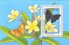 Colnect-2426-264-Black-Prince-Rohana-parisatis-Yellow-Frangipani-Plumeria.jpg