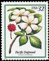 Colnect-2649-158-Pacific-Dogwood.jpg