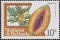 Colnect-1940-888-Pawpaw-Asimina-triloba.jpg