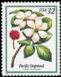 Colnect-2649-158-Pacific-Dogwood.jpg