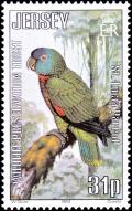 Colnect-6019-631-St-Lucia-Parrot-Amazona-versicolor.jpg