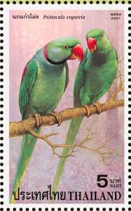 Colnect-3382-340-Alexandrine-Parakeet-Psittacula-eupatria.jpg