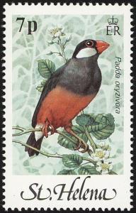 Colnect-1661-816-Java-Sparrow-Padda-oryzivora.jpg