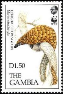 Colnect-1721-741-Long-tailed-Pangolin-Manis-tetradactyla.jpg