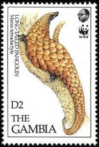 Colnect-1721-742-Long-tailed-Pangolin-Manis-tetradactyla.jpg