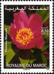 Colnect-617-496-Paeonia-mascula.jpg