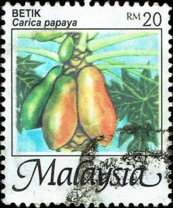 Colnect-3658-858-Papaya-Carica-papaya.jpg