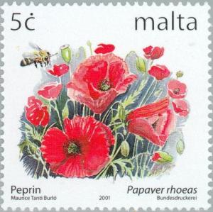 Colnect-131-488-Papaver-rhoeas.jpg