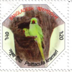 Colnect-1602-852-Rose-ringed-Parakeet-Psittacula-krameri.jpg