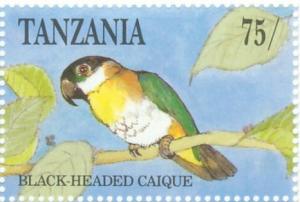 Colnect-1745-614-Black-headed-Parrot-Pionites-melanocephala.jpg