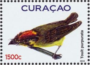 Colnect-2508-221-Golden-crowned-Spadebill-Platyrinchus-coronatus.jpg