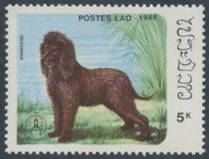 Colnect-3005-875-Irish-Water-Spaniel-Canis-lupus-familiaris.jpg