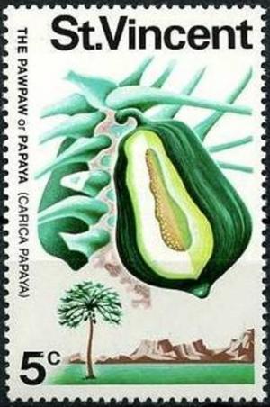 Colnect-3050-276-Papaya-Carica-papaya.jpg