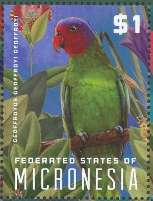 Colnect-3804-299-Red-cheeked-Parrot-Geoffroyus-geoffroyi.jpg