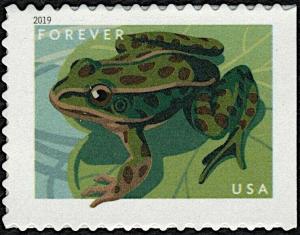 Colnect-6154-879-Northern-Leopard-Frog-Lithobates-pipiens.jpg