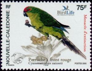 Colnect-858-348-New-Caledonian-Parakeet-Cyanoramphus-saisseti.jpg