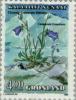 Colnect-158-452-Campanula-gieseckiana.jpg