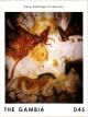 Colnect-3531-957-Cave-paintings-of-Lascaux.jpg