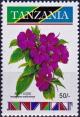 Colnect-4569-695-Impatiens-walleriana.jpg