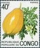 Colnect-5861-489-Papaya-Carica-papaya.jpg