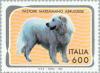 Colnect-179-099-Maremma-Sheepdog-Canis-lupus-familiaris.jpg