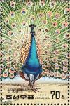 Colnect-1614-805-Indian-Peafowl-Pavo-cristatus.jpg