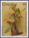 Colnect-3894-917-Cypripedium-lemoinerianum.jpg