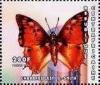 Colnect-4742-201-Silver-striped-Charaxes-Charaxes-lasti.jpg