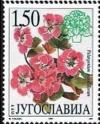 Colnect-883-750-Mu%C5%A1katla-Pelargonium-grandiflorum.jpg