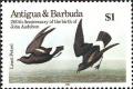 Colnect-1763-992-Least-Storm-petrel-Hydrobates-microsoma.jpg