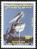 Colnect-1794-774-Pink-backed-Pelican-Pelecanus-rufescens.jpg